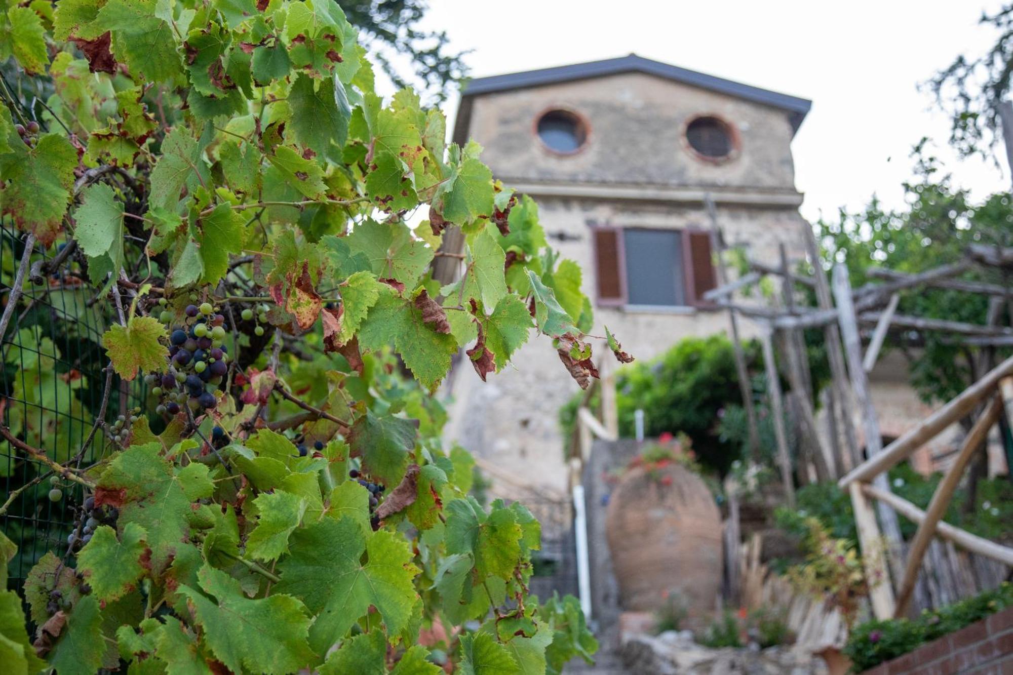 Il Melograno In Costa D'Amalfi - Romantic Experience Vietri Exterior foto